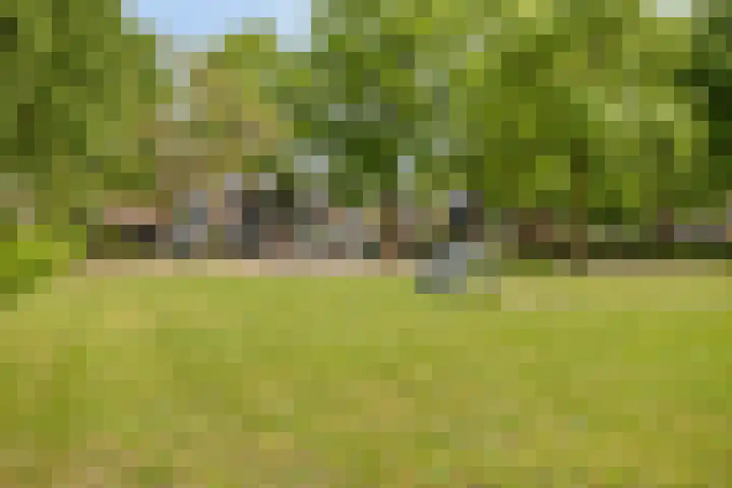 Brahmsstraat 4 Oosterhout thumbnail 31