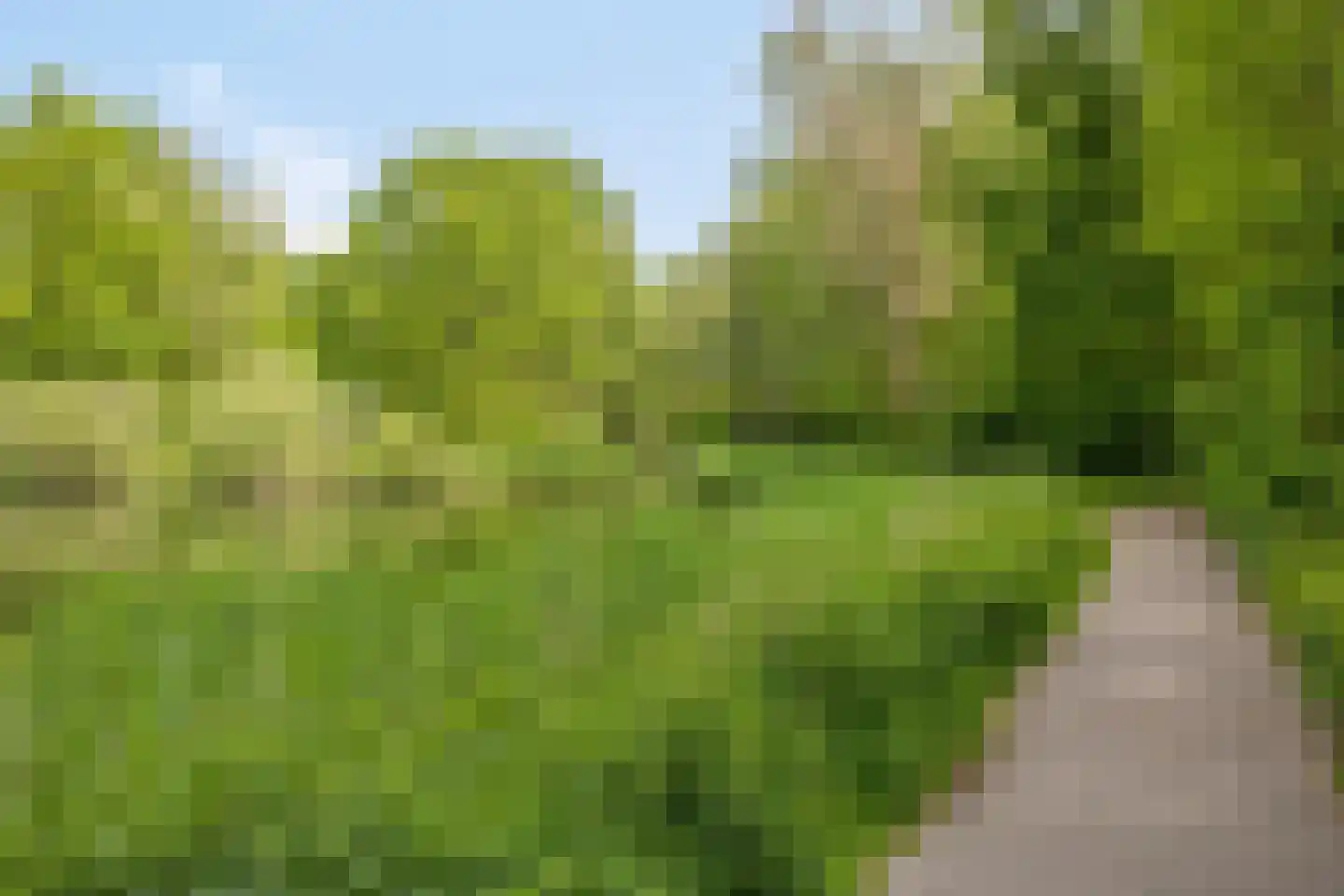 Brahmsstraat 4 Oosterhout thumbnail 32
