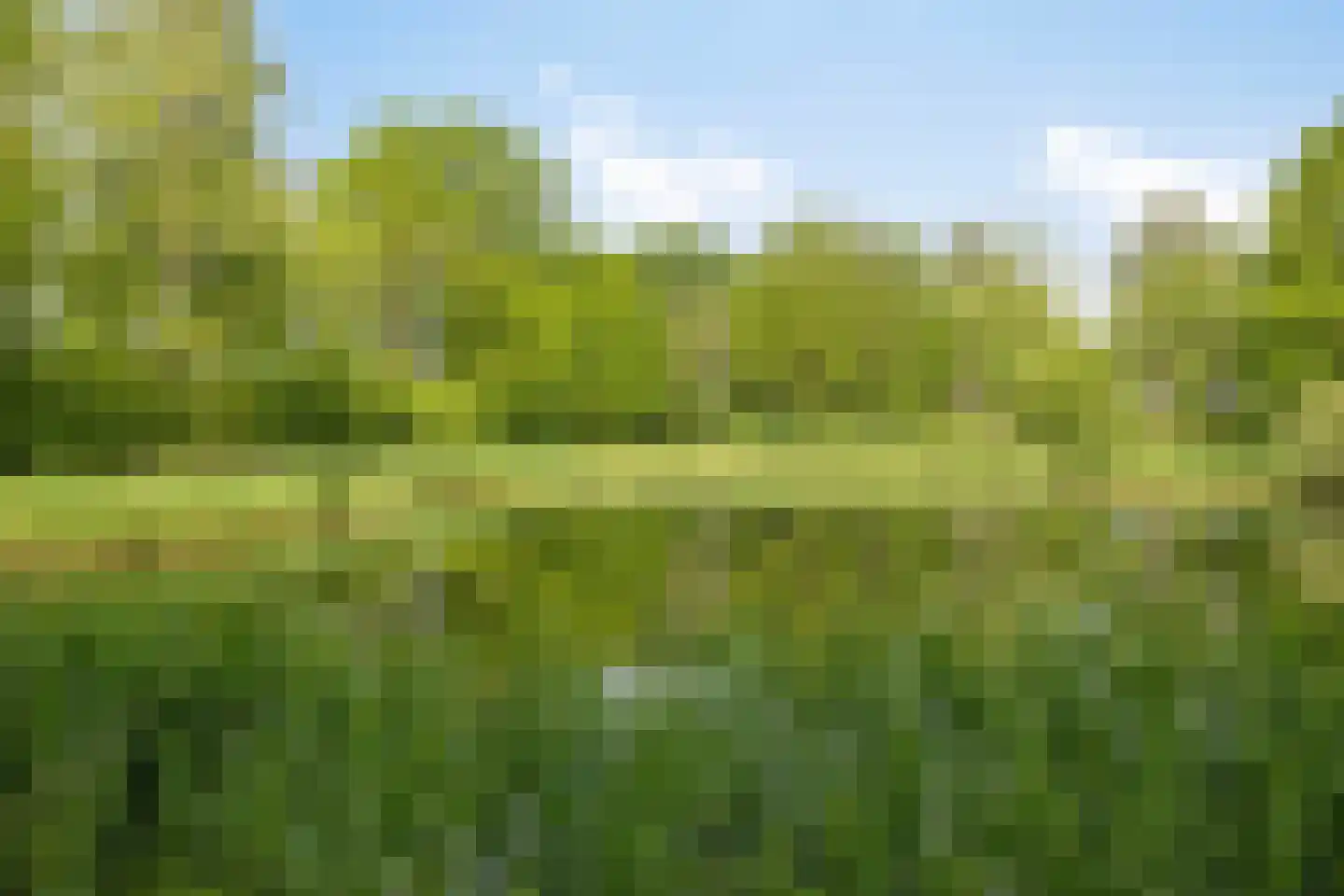 Brahmsstraat 4 Oosterhout thumbnail 33