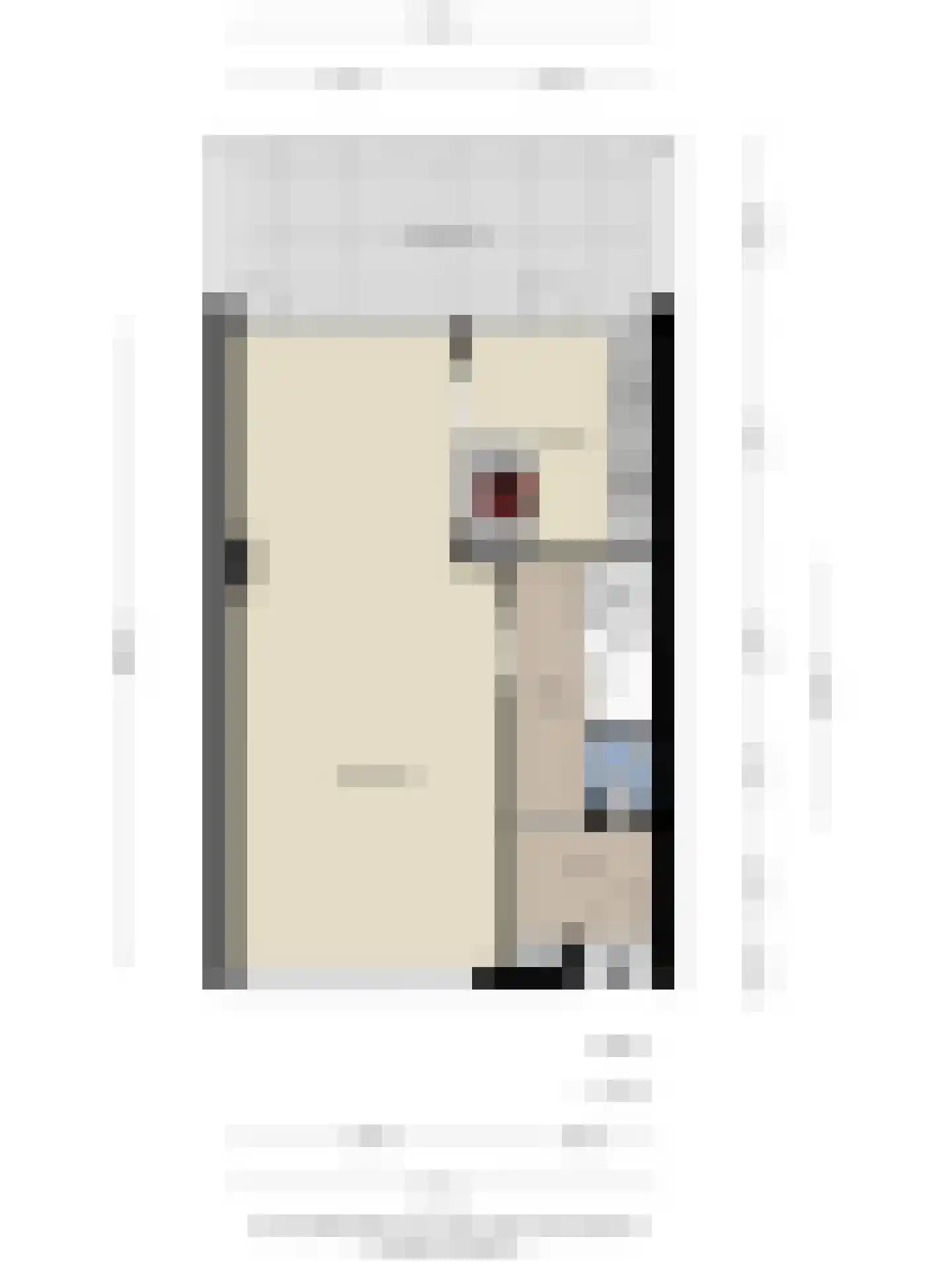 Brahmsstraat 4 Oosterhout thumbnail 34