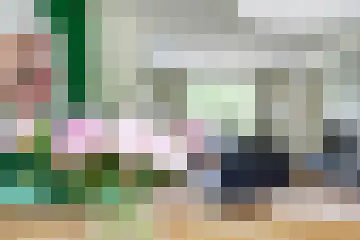 Brahmsstraat 4 Raamsdonksveer thumbnail 10