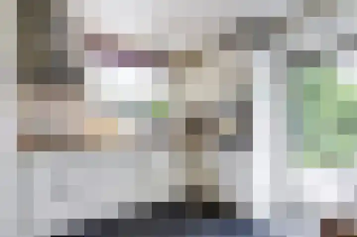 Brahmsstraat 4 Raamsdonksveer thumbnail 11