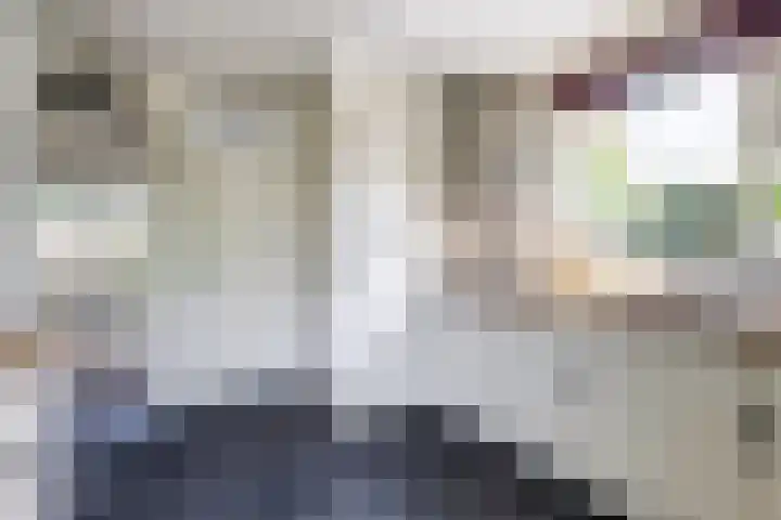 Brahmsstraat 4 Raamsdonksveer thumbnail 12
