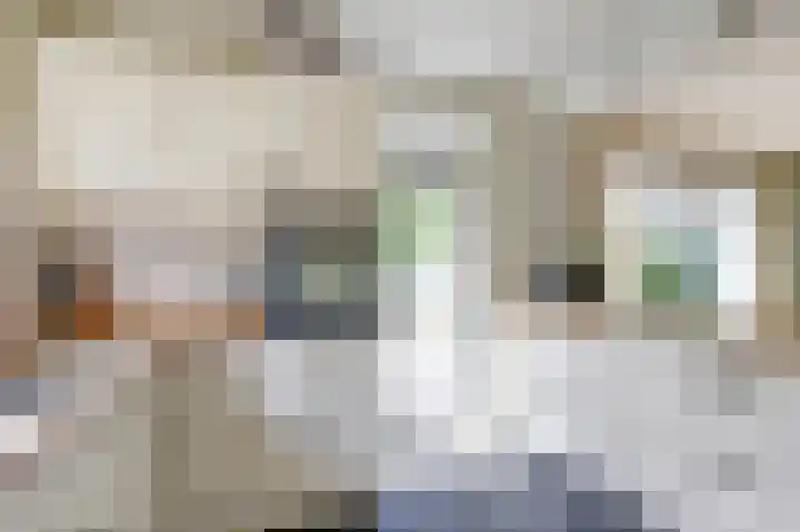 Brahmsstraat 4 Raamsdonksveer thumbnail 13