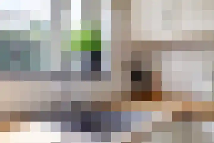 Brahmsstraat 4 Raamsdonksveer thumbnail 15