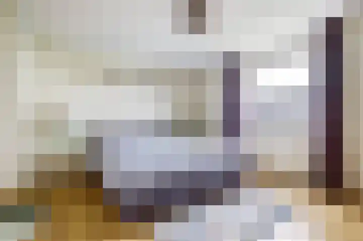 Brahmsstraat 4 Raamsdonksveer thumbnail 17
