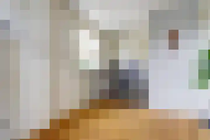 Brahmsstraat 4 Raamsdonksveer thumbnail 25