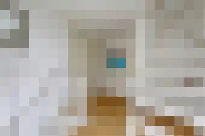 Brahmsstraat 4 Raamsdonksveer thumbnail 30