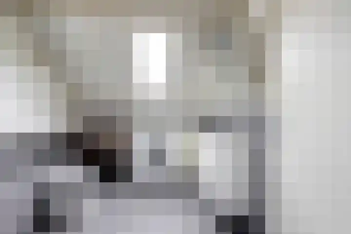 Brahmsstraat 4 Raamsdonksveer thumbnail 33
