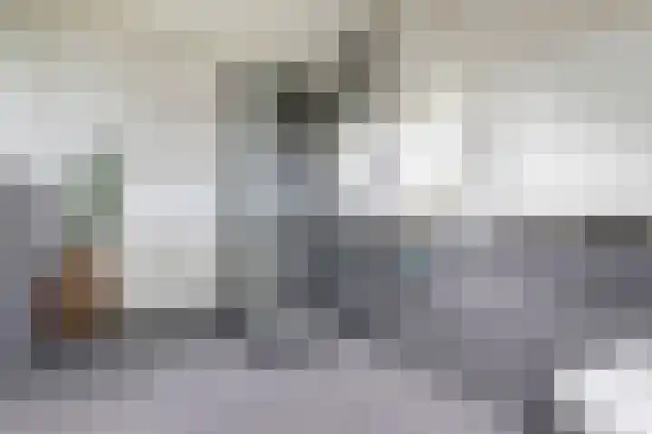 Brahmsstraat 4 Raamsdonksveer thumbnail 34