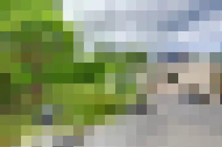 Brahmsstraat 4 Raamsdonksveer thumbnail 36