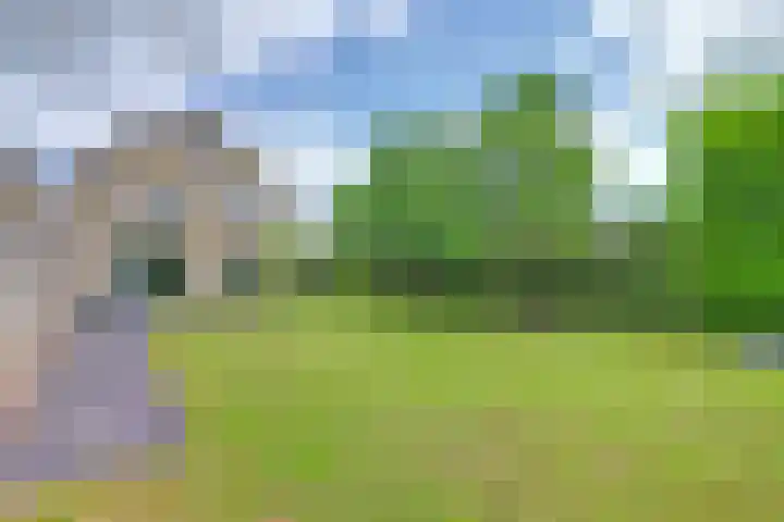 Brahmsstraat 4 Raamsdonksveer thumbnail 37