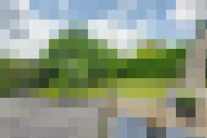 Brahmsstraat 4 Raamsdonksveer thumbnail 38