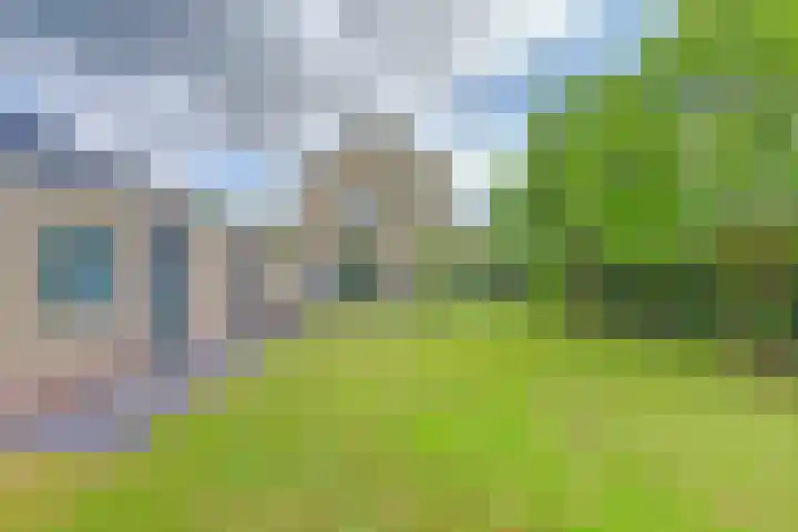 Brahmsstraat 4 Raamsdonksveer thumbnail 4