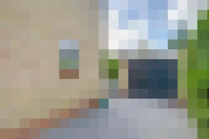 Brahmsstraat 4 Raamsdonksveer thumbnail 40