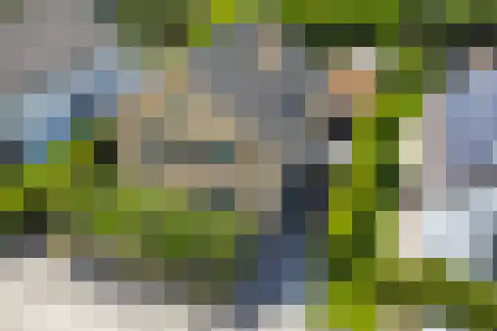 Brahmsstraat 4 Raamsdonksveer thumbnail 41