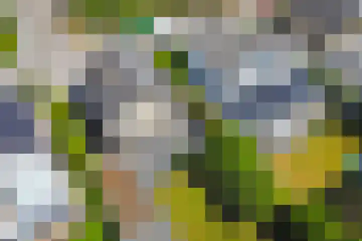 Brahmsstraat 4 Raamsdonksveer thumbnail 42