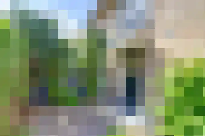 Brahmsstraat 4 Raamsdonksveer thumbnail 5