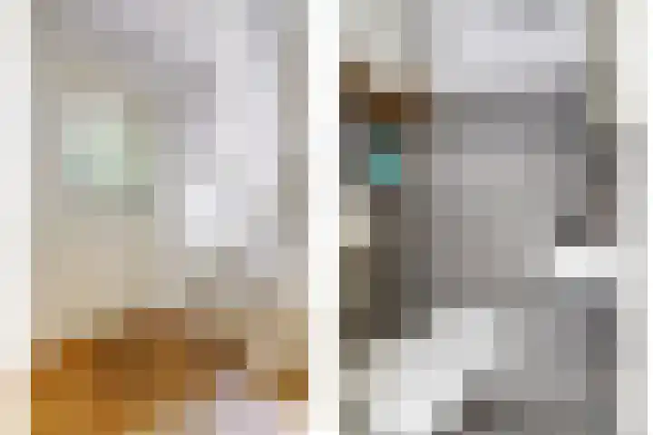 Brahmsstraat 4 Raamsdonksveer thumbnail 6