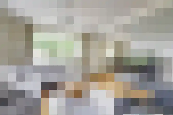 Brahmsstraat 4 Raamsdonksveer thumbnail 7