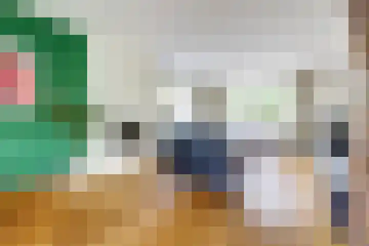 Brahmsstraat 4 Raamsdonksveer thumbnail 8