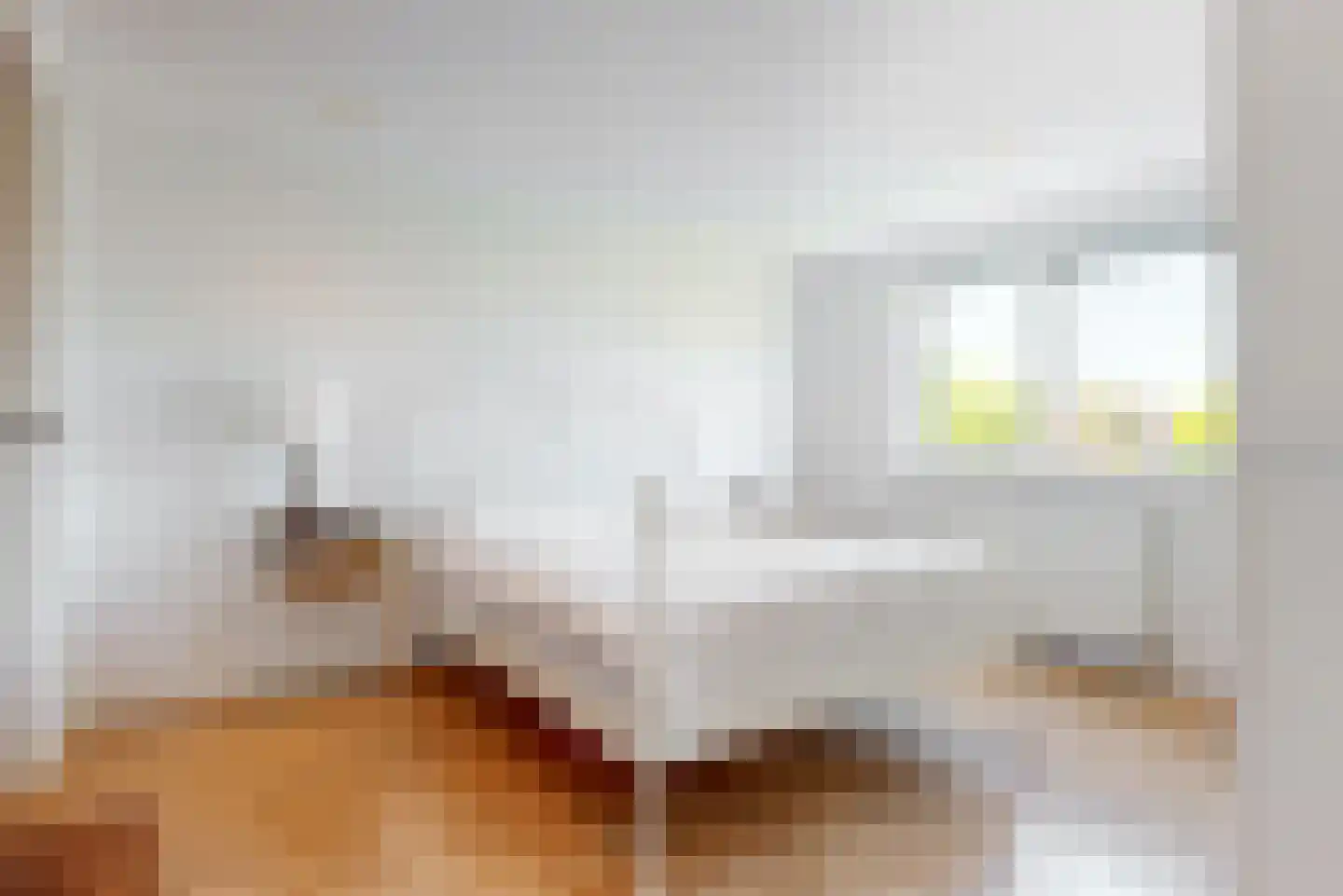 Brahmsstraat 44 Lisse thumbnail 19