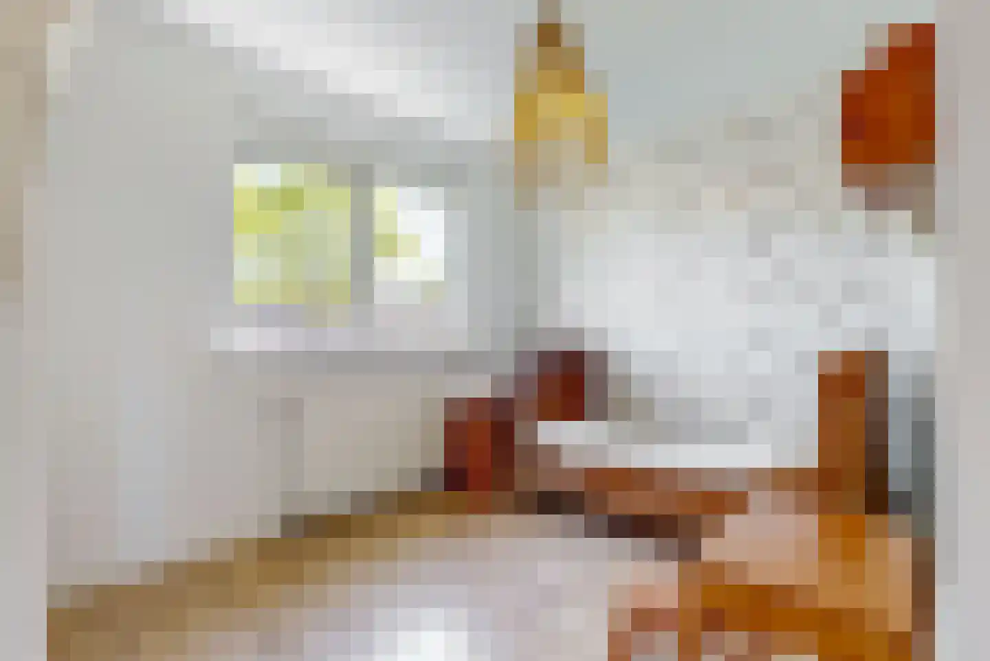 Brahmsstraat 44 Lisse thumbnail 23