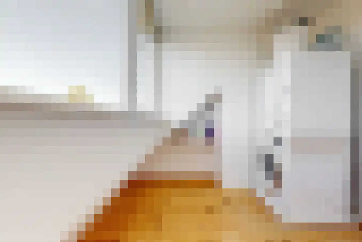 Brahmsstraat 44 Lisse thumbnail 30