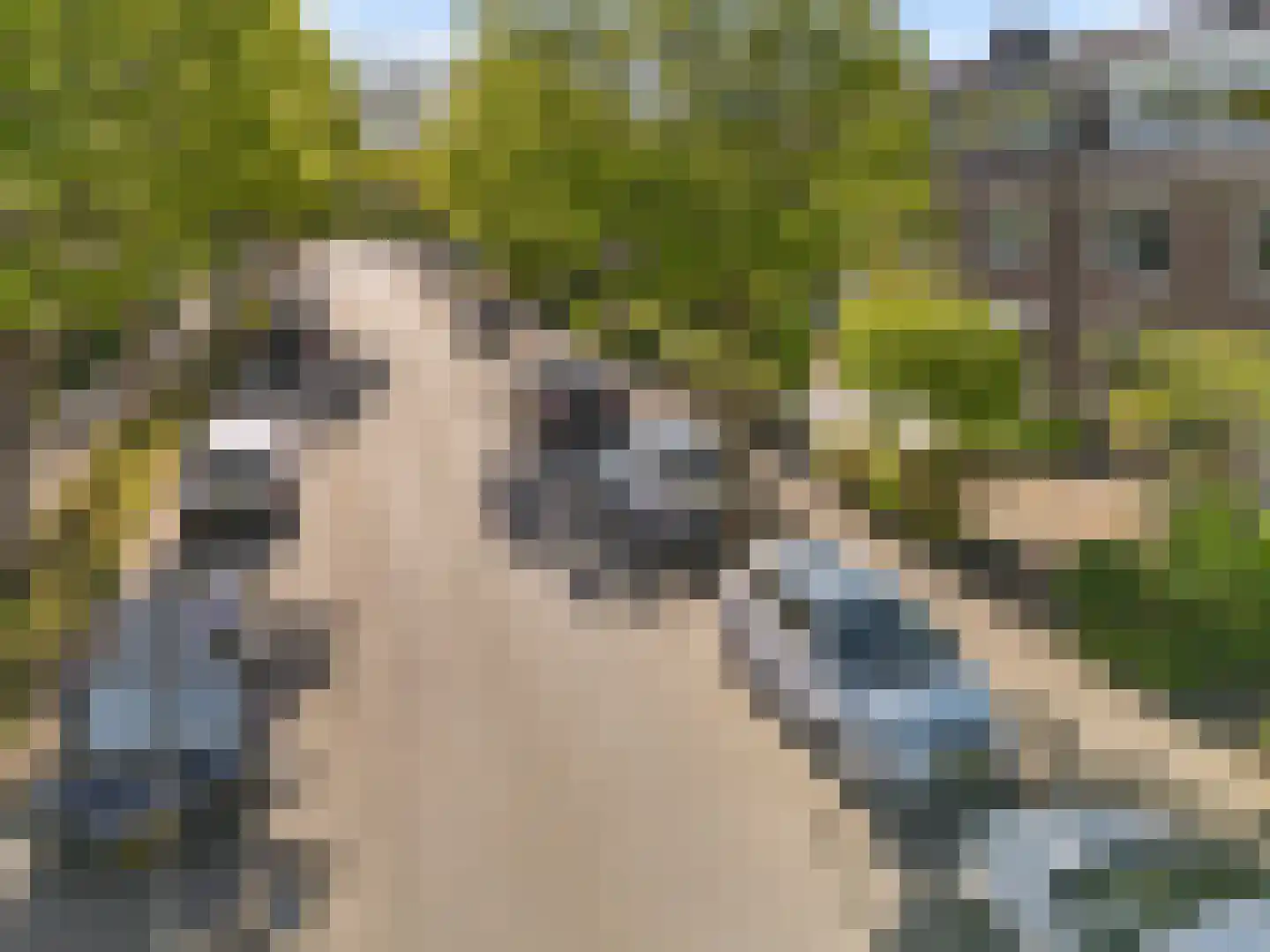 Brahmsstraat 44 Lisse thumbnail 46