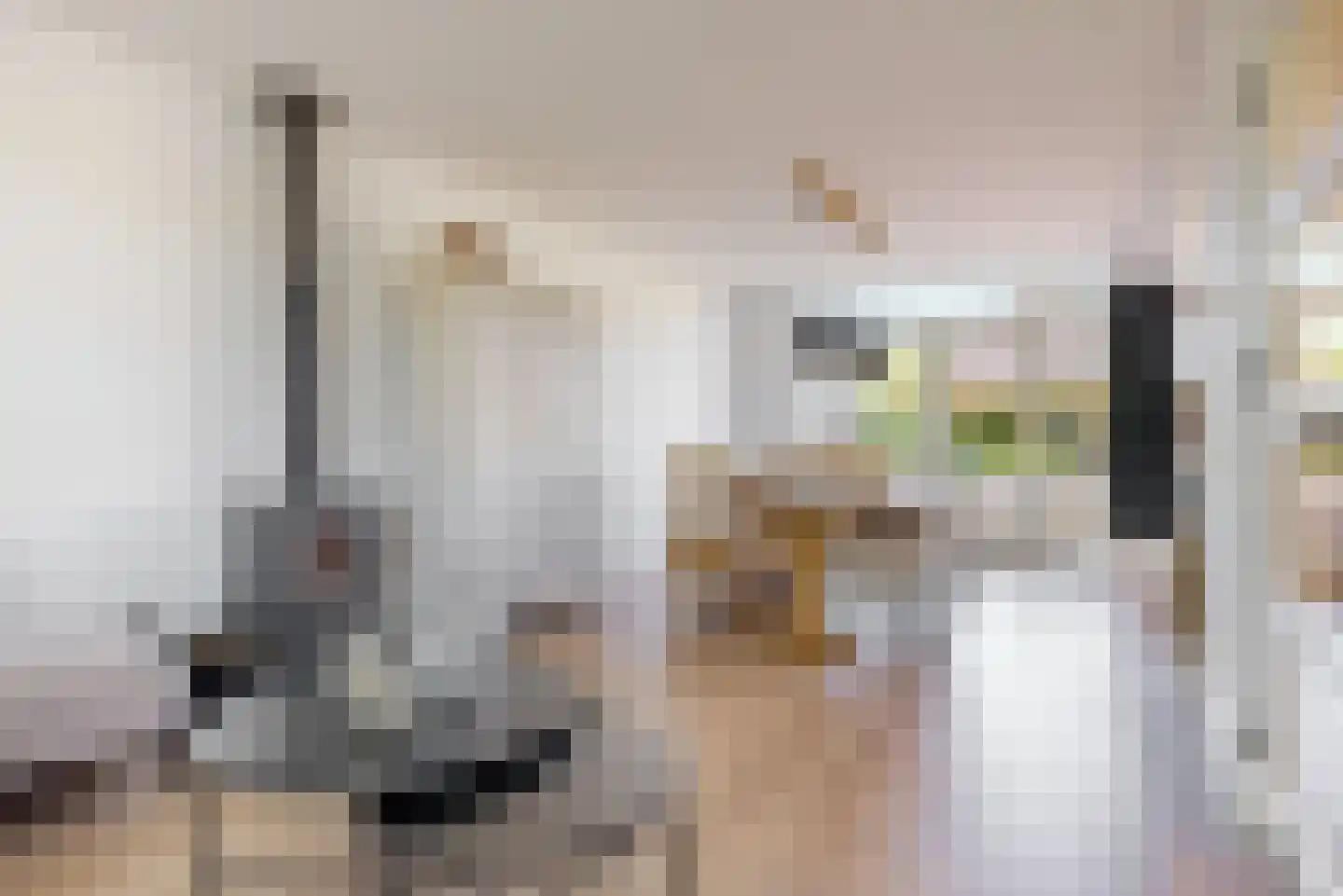 Brahmsstraat 44 Lisse thumbnail 7