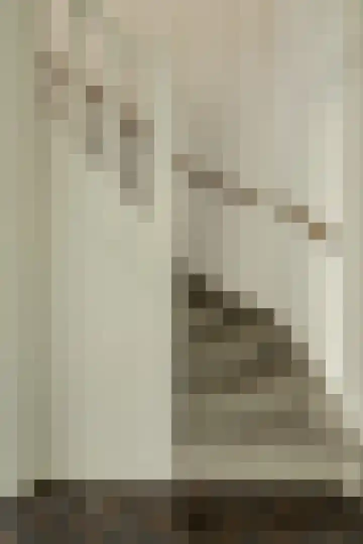 Brahmsstraat 5 Oosterhout thumbnail 19