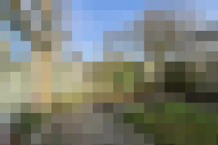 Brahmsstraat 5 Oosterhout thumbnail 37