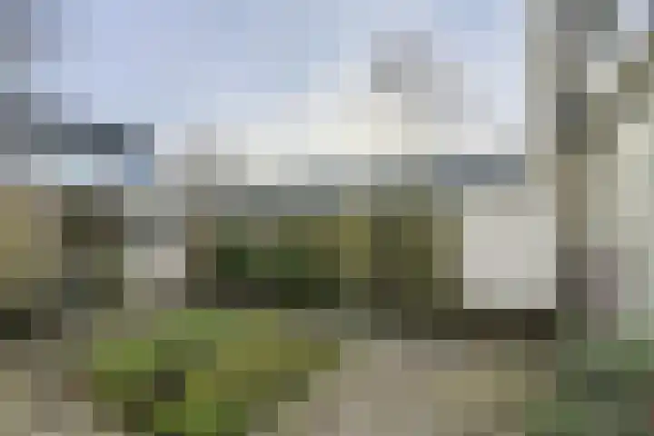Brahmsstraat 5 Oosterhout thumbnail 38