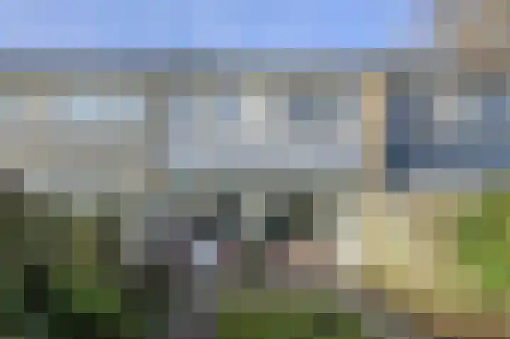 Brahmsstraat 5 Oosterhout thumbnail 39