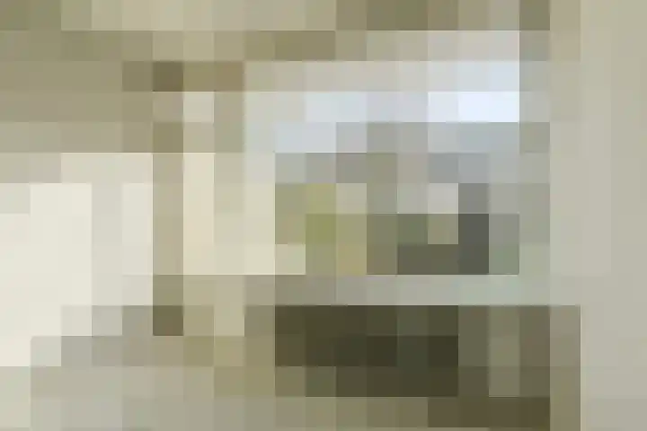 Brahmsstraat 5 Oosterhout thumbnail 9