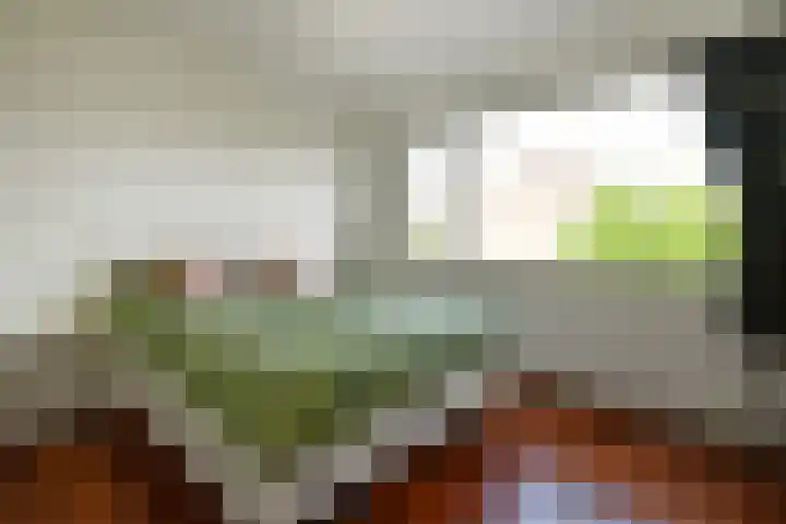Brahmsstraat 51 Elst thumbnail 22