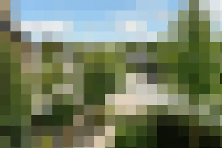 Brahmsstraat 51 Elst thumbnail 28