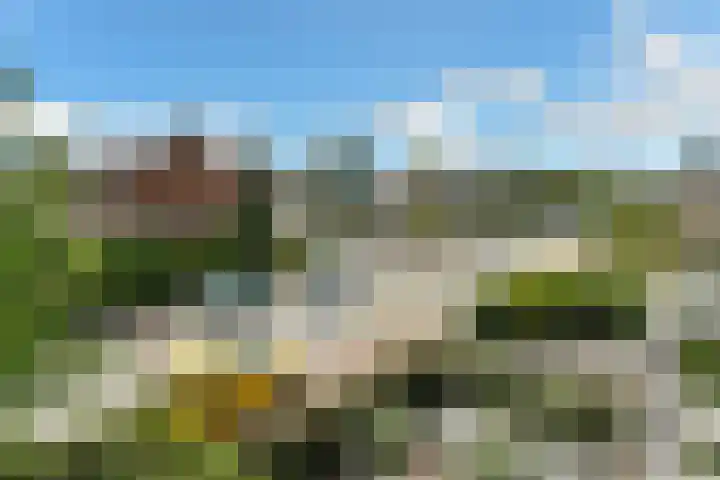Brahmsstraat 51 Elst thumbnail 29