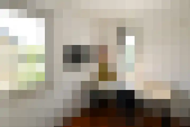 Brahmsstraat 51 Elst thumbnail 31
