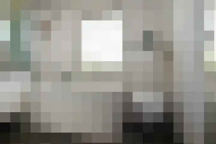 Brahmsstraat 51 Elst thumbnail 32