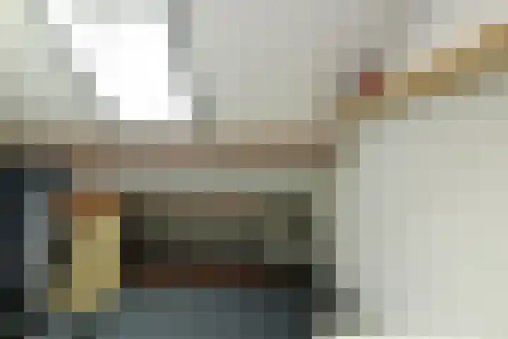 Brahmsstraat 51 Elst thumbnail 37