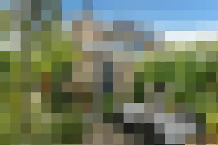 Brahmsstraat 51 Elst thumbnail 39