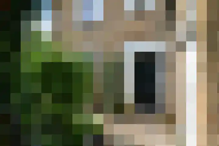 Brahmsstraat 51 Elst thumbnail 4