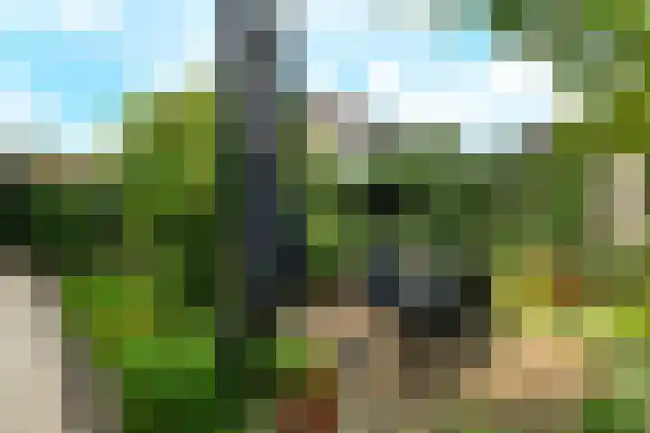 Brahmsstraat 51 Elst thumbnail 40