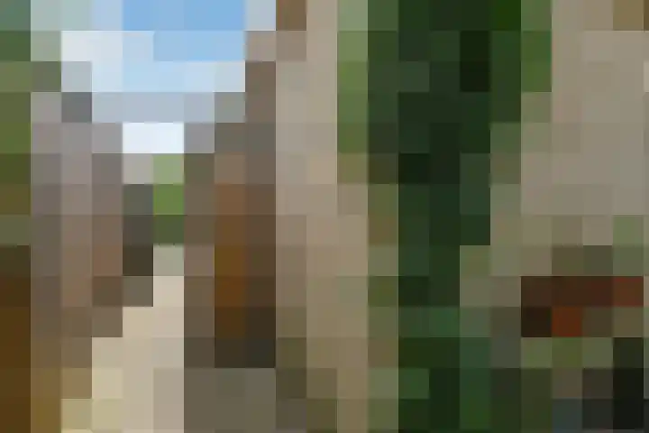 Brahmsstraat 51 Elst thumbnail 45