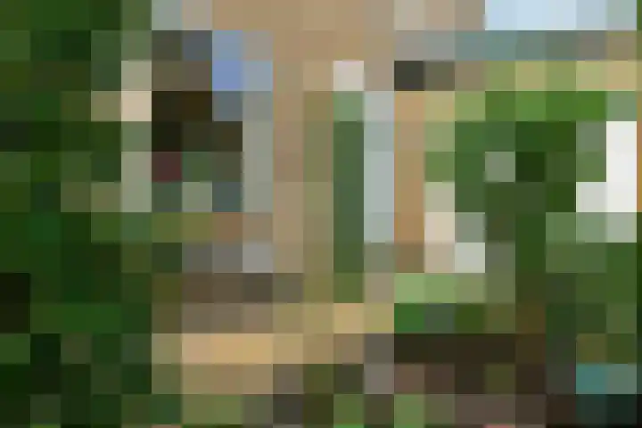 Brahmsstraat 51 Elst thumbnail 48