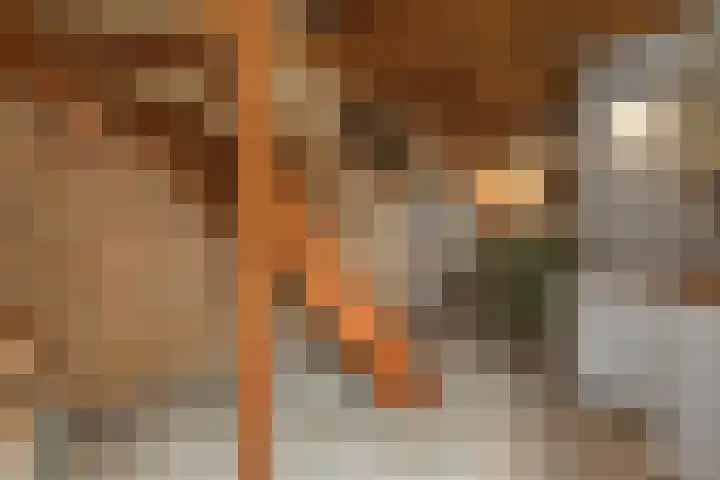 Brahmsstraat 51 Elst thumbnail 5