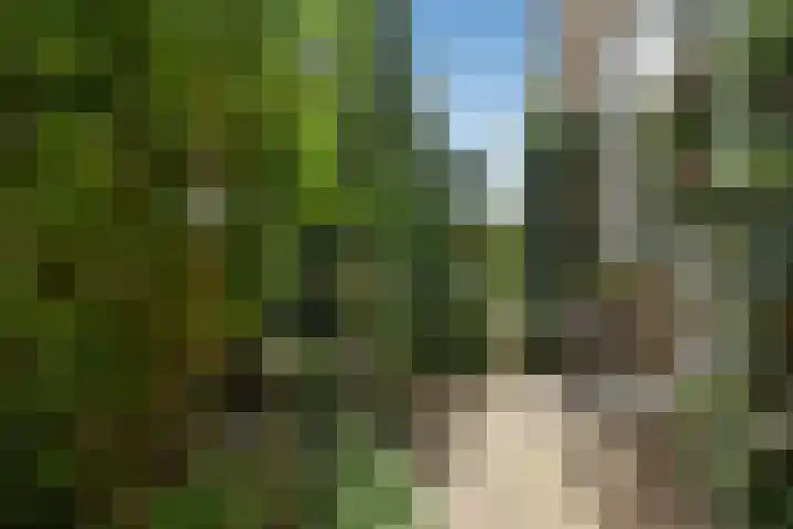Brahmsstraat 51 Elst thumbnail 50