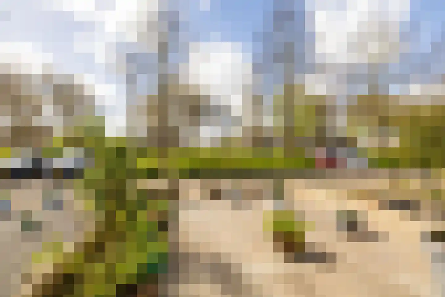 Brahmsstraat 52 Purmerend thumbnail 29