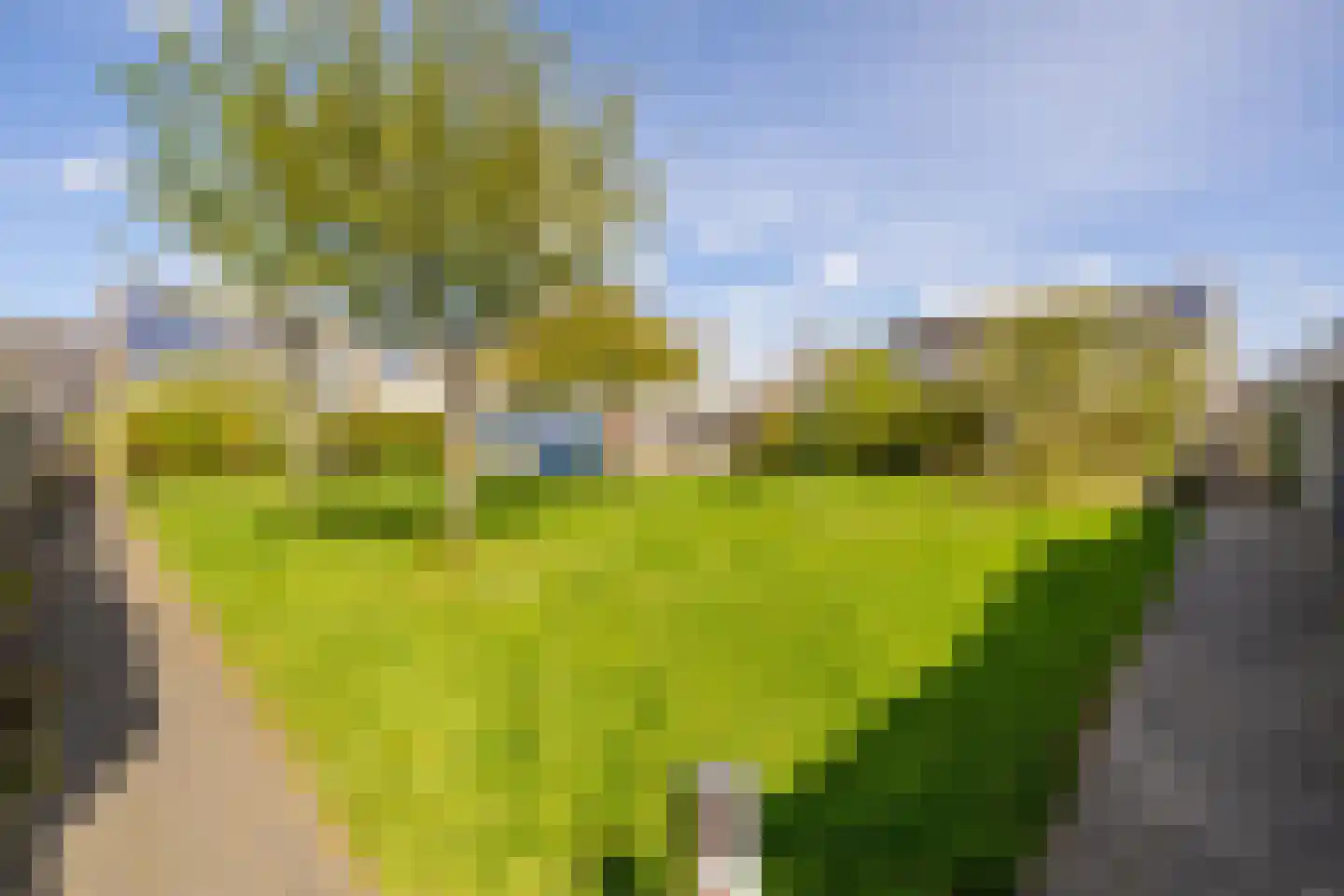 Brahmsstraat 52 Purmerend thumbnail 33